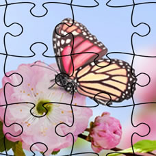 Ultimate Butterfly Puzzle